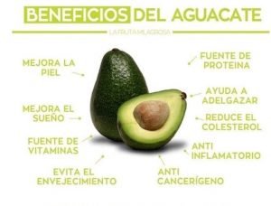 🥑 Descubre Los 【 BENEFICIOS Del Aguacate Y Su Semilla 】 🌱